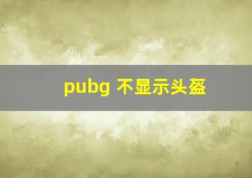 pubg 不显示头盔